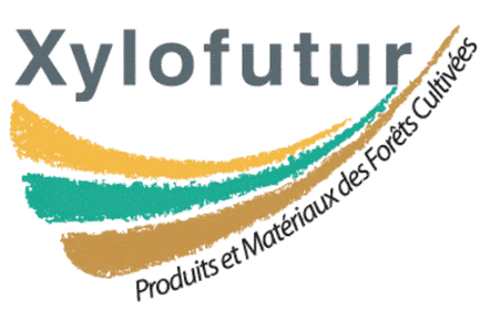 Xylofutur