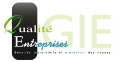 Portrait d'un hébergé de Domolandes : GIE QUALITE ENTREPRISES