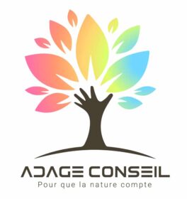 L'analyse Bilan Carbone par Adage Conseil