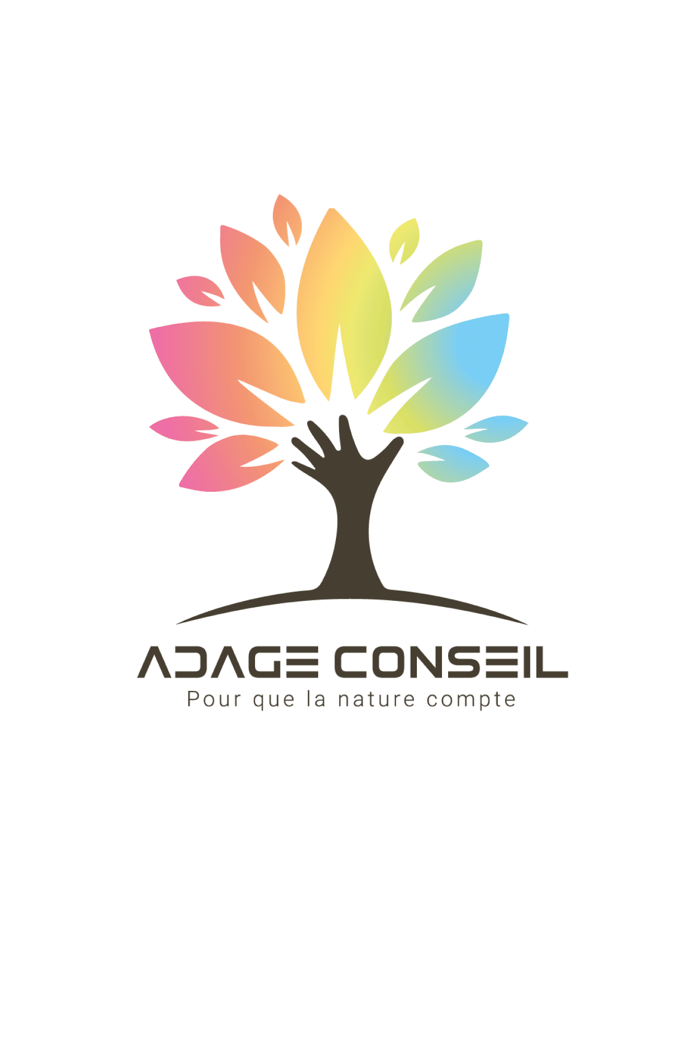 Domolandes Entreprise : Adage Conseil