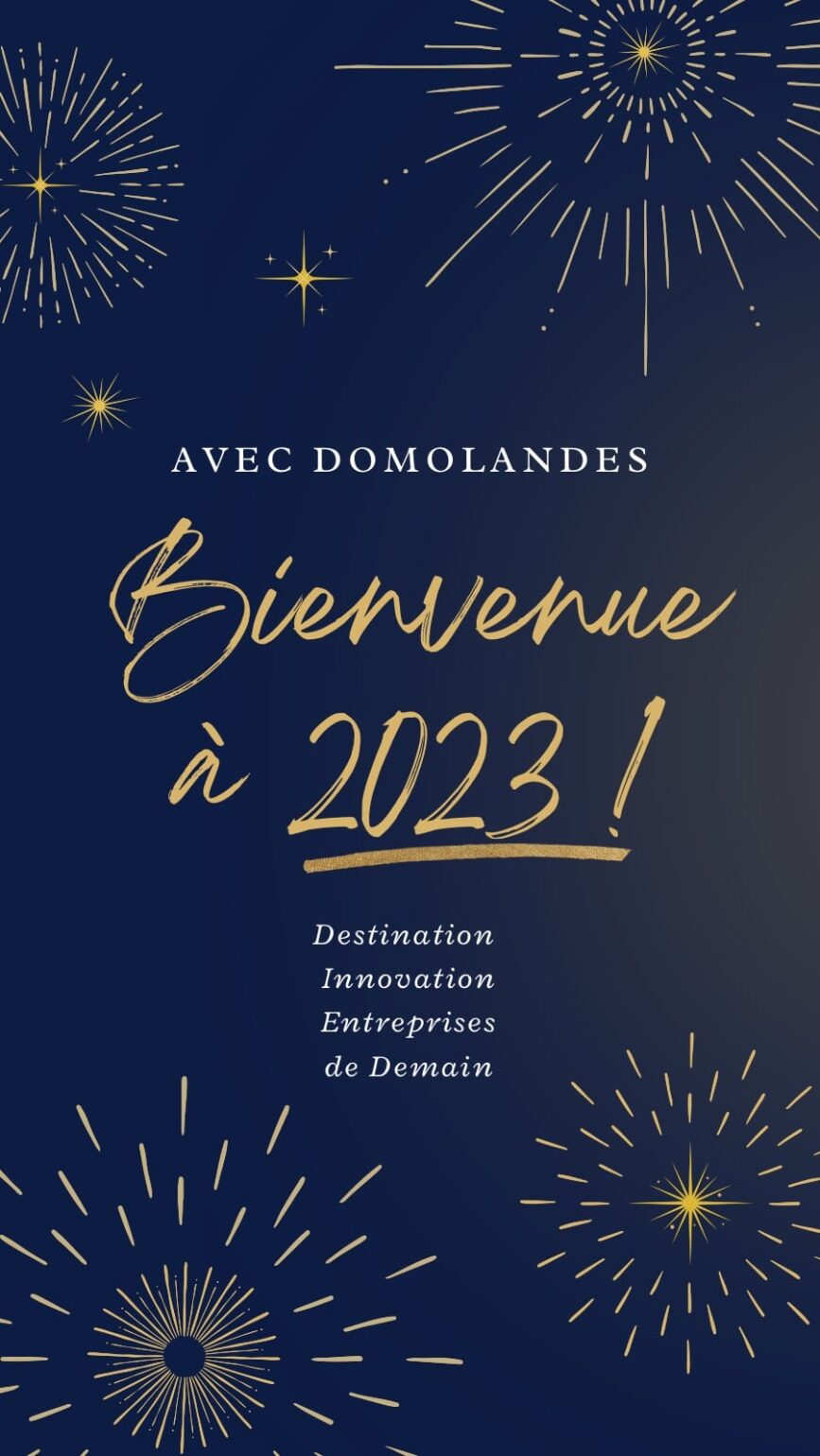 carte-voeux-dl-v3-2
