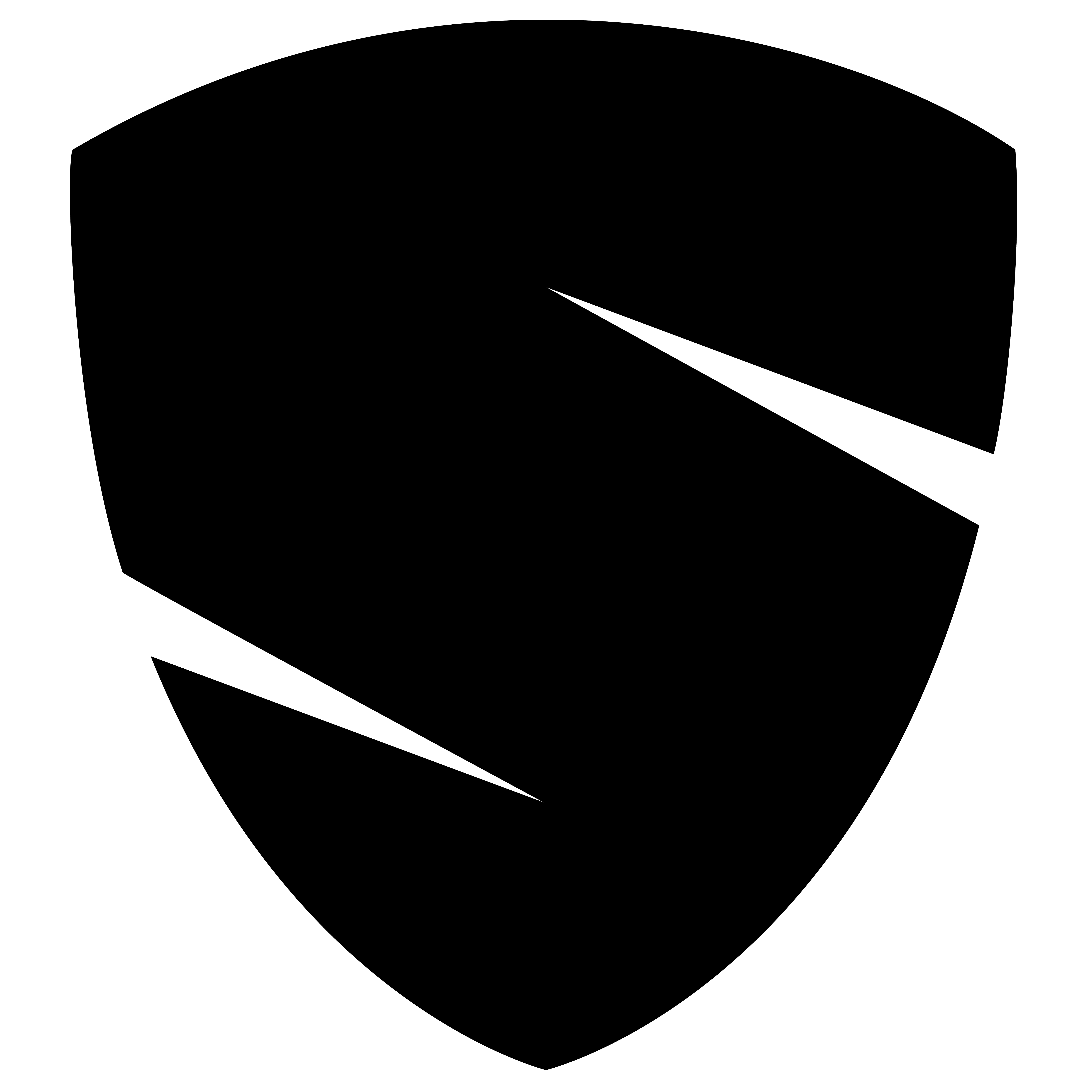 Logo Shield Robotics