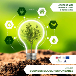 Retour en images : Atelier Business Model responsable - 30/05/24