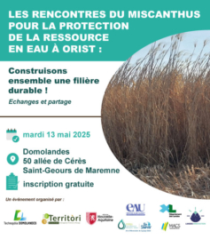 Les Rencontres du Miscanthus