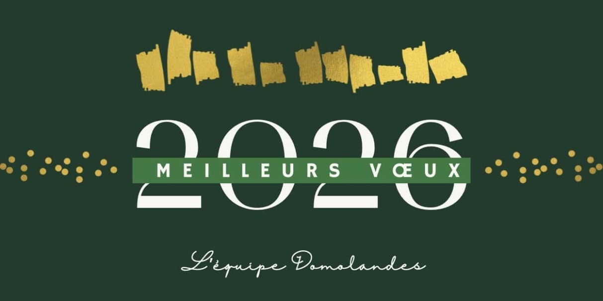 bandeau-signature-de-mail-meilleurs-voeux-20262026-pro-entreprise-bleu-or