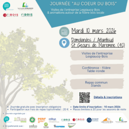 Au cœur du bois : une journée pour faire avancer la filière locale